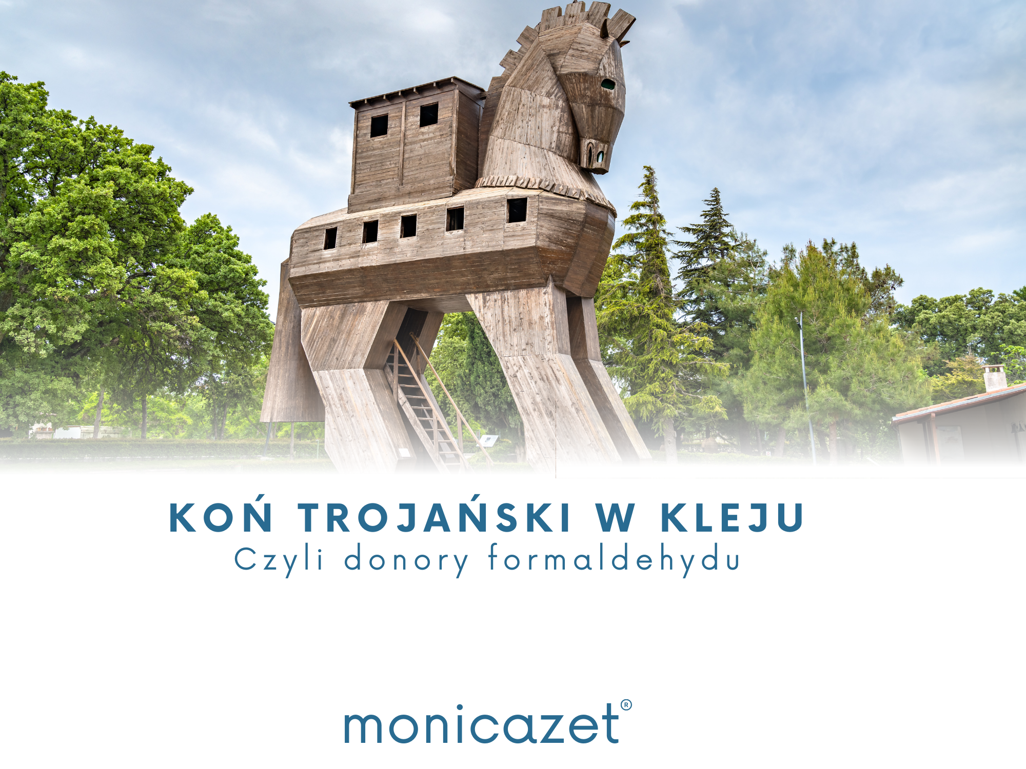 KOŃ TROJAŃSKI W KLEJU CZYLI DONORY FORMALDEHYDU
